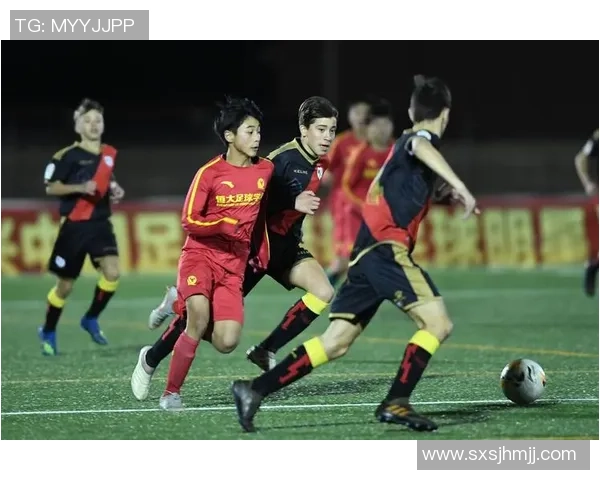 河源足球明星阵容全景展示与精彩瞬间回顾